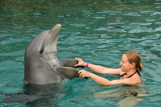karib 2019. február Anikó delfinekkel 2.kép