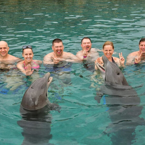 karib 2019. február delfinekkel 2.kép