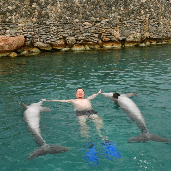 karib 2019. február delfinekkel 3.kép