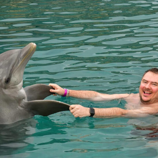 karib 2019. február delfinekkel 4.kép